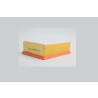 Filtro aria STEP FILTERS AE21266