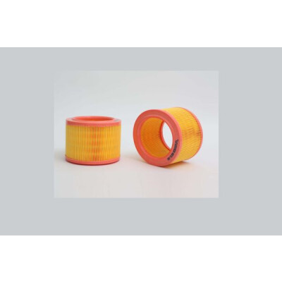 Filtro aria STEP FILTERS AE255