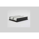 Filtro aria STEP FILTERS AE31855
