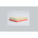 Filtro aria STEP FILTERS AE32785