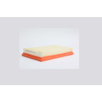 Filtro aria STEP FILTERS AE39917