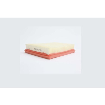 Filtro aria STEP FILTERS AE40169