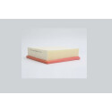 Filtro aria STEP FILTERS AE40979