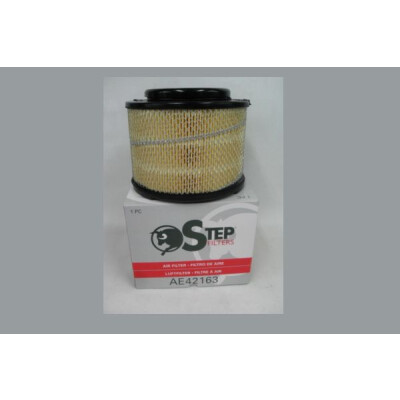 Filtro aria STEP FILTERS AE42163