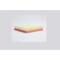 Filtro aria STEP FILTERS AE42604