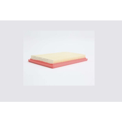 Filtro aria STEP FILTERS AE42949