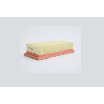 Filtro aria STEP FILTERS AE607