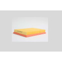 Filtro aria STEP FILTERS AE6609