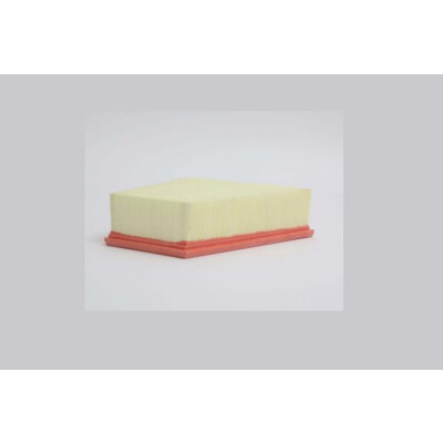 Filtro aria STEP FILTERS AE6910