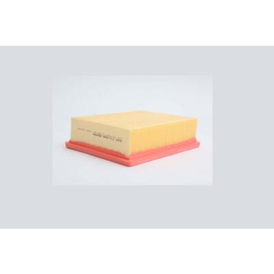 Filtro aria STEP FILTERS AE6934