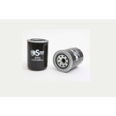 Filtro carburante STEP FILTERS CC4019