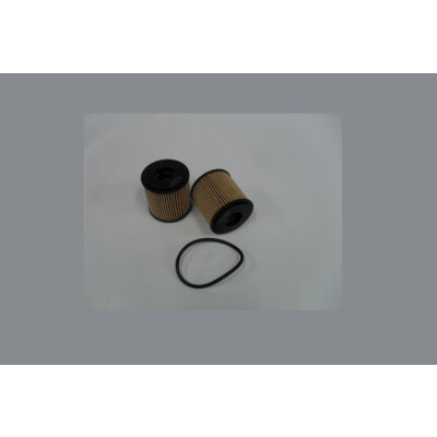 Filtro olio STEP FILTERS HC31993
