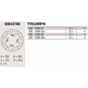 Disco freno Brembo DP 255X6 68B407N6BRE