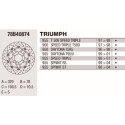 Disco freno Brembo DP 320X5 78B40874BRE