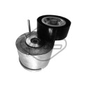 Tendicinghia, Cinghia Poly-V