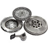 Kit frizione + volano bimassa DMF LUK 600 0166 00