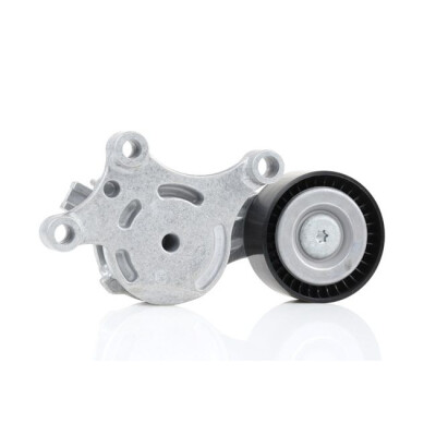Braccio tenditore, Cinghia Poly-V