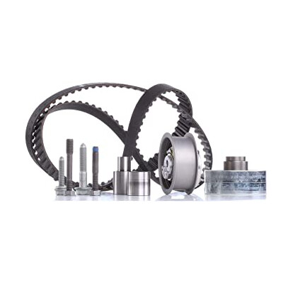 Kit cinghie dentate INA 530 0082 10