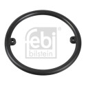 Anello tenuta, Radiatore olio
