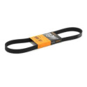 Cinghia trapezoidale Poly-V ContiTech 6PK948
