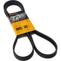 Cinghia trapezoidale trapezoidale ContiTech 6 PK 1613