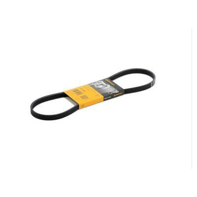 Cinghia trapezoidale Poly-V ContiTech 4PK 855