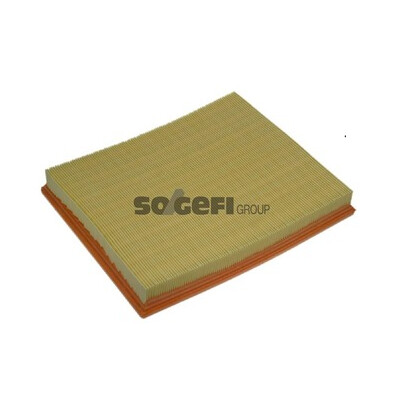Filtro aria PURFLUX A1008