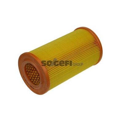 Filtro aria PURFLUX A1009