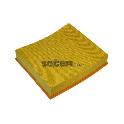 Filtro aria PURFLUX A1029