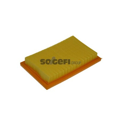Filtro aria PURFLUX A1031