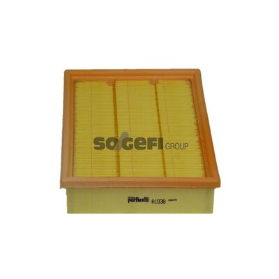 Filtro aria PURFLUX A1038