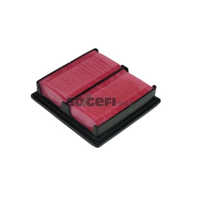 Filtro aria PURFLUX A1042