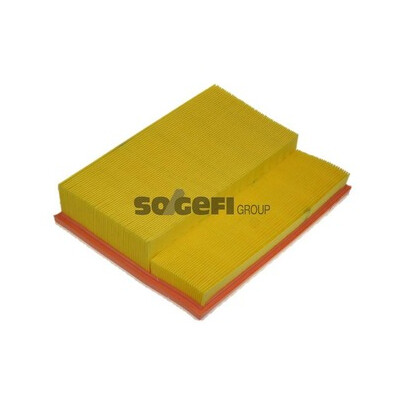 Filtro aria PURFLUX A1049