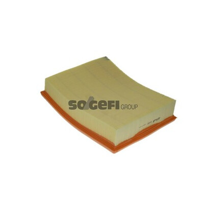 Filtro aria PURFLUX A1050