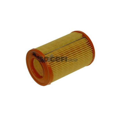 Filtro aria PURFLUX A1055