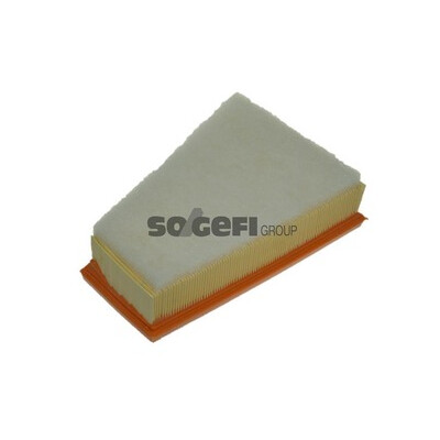 Filtro aria PURFLUX A1057