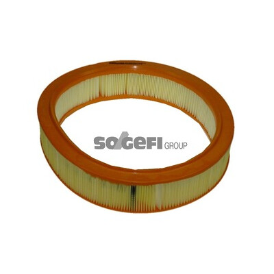 Filtro aria PURFLUX A1058