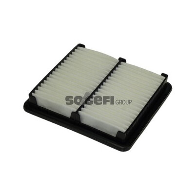 Filtro aria PURFLUX A1060
