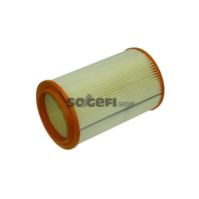 Filtro aria PURFLUX A1071