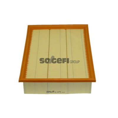 Filtro aria PURFLUX A1075