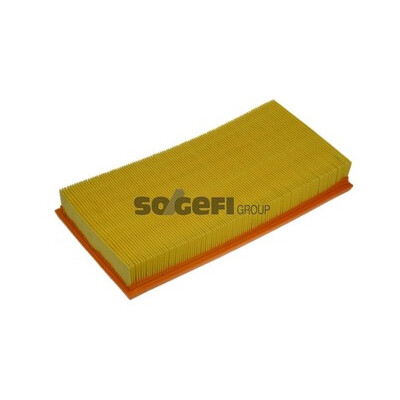 Filtro aria PURFLUX A1076