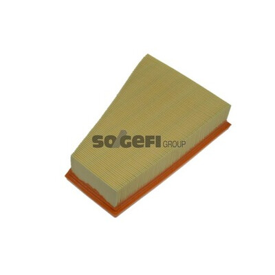 Filtro aria PURFLUX A1083