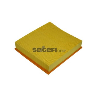 Filtro aria PURFLUX A1087