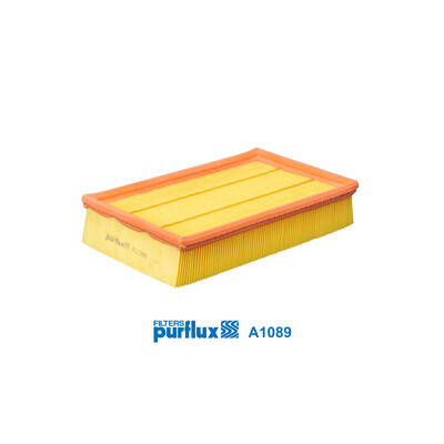 Filtro aria PURFLUX A1089