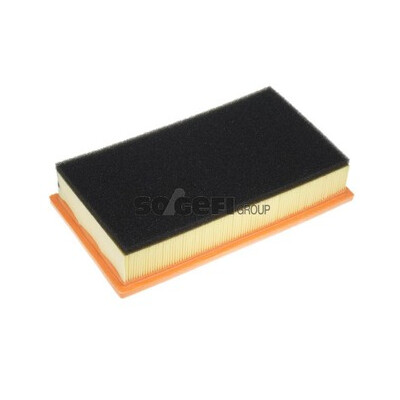 Filtro aria PURFLUX A1092