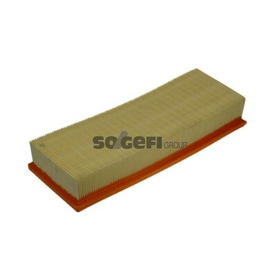 Filtro aria PURFLUX A1094