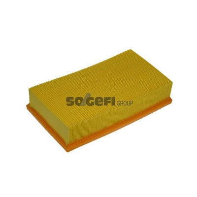 Filtro aria PURFLUX A1096