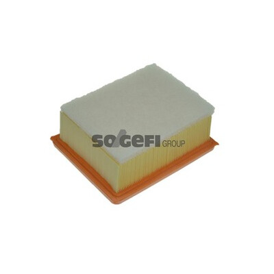 Filtro aria PURFLUX A1097