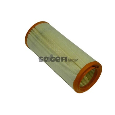 Filtro aria PURFLUX A1100