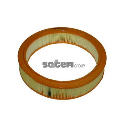 Filtro aria PURFLUX A1106